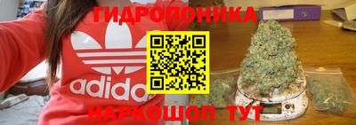 ПСИЛОЦИБИНОВЫЕ ГРИБЫ Краснодар