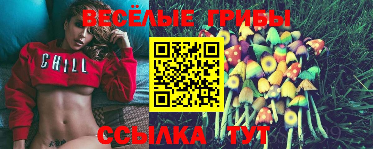 Меф МЯУ МЯУ  Кокаин  ГАШИШ  COCAIN  Камышлов  Меф МЯУ МЯУ   ТГК  Каннабис  Вход с VPN  ГАШИШ 